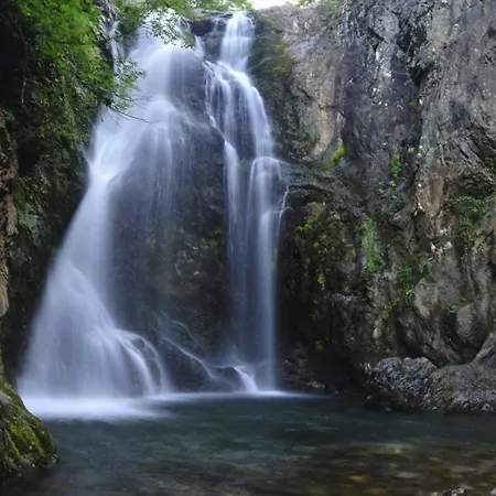 Hotel Thermal Park Yalova (Yalova)